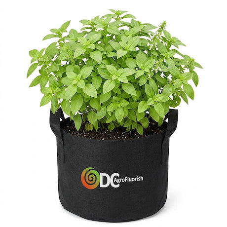 Green plant in a black fabric pot with DC AgroFluorish logo on a white background