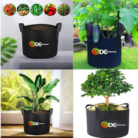 ODC Growbags with plants in various settings, including a garden and indoor setting.