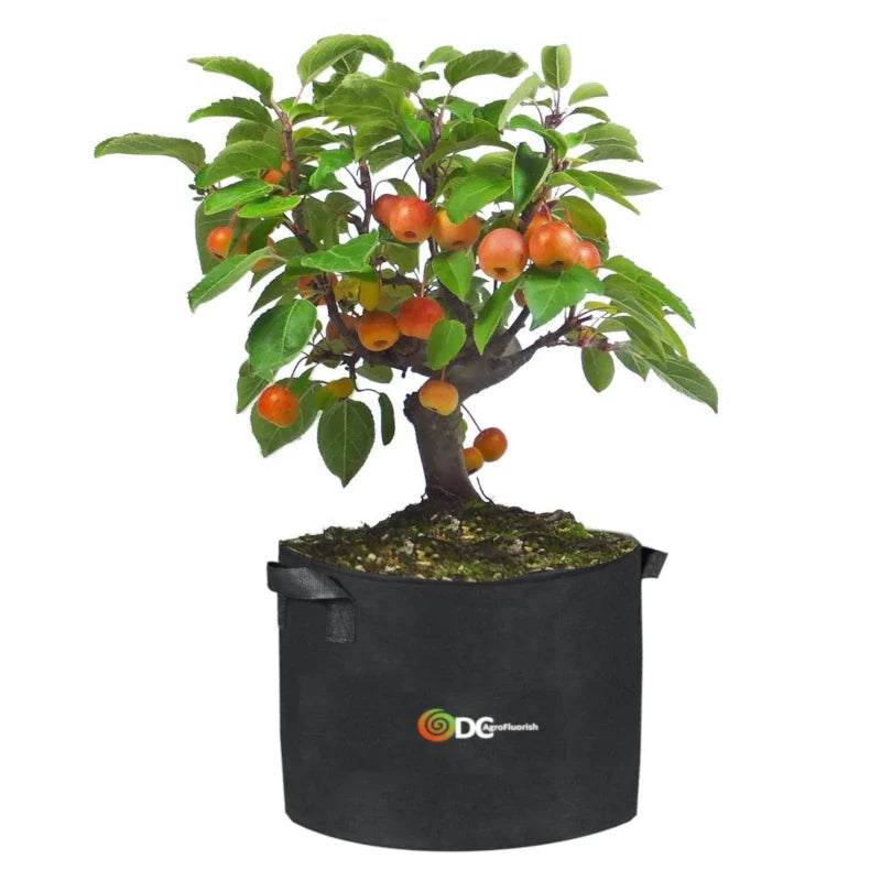 10pc Handmade Planting Grow Bags for Garden & Greenhouse -from 34.97! Shop now at OdcDeals