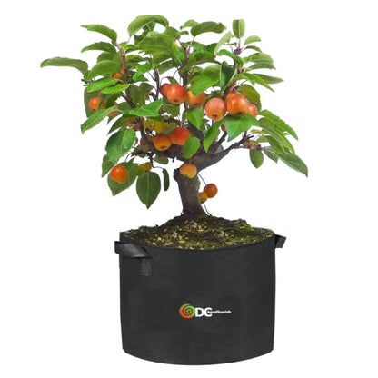 10pc Handmade Planting Grow Bags for Garden & Greenhouse -from 34.97! Shop now at OdcDeals