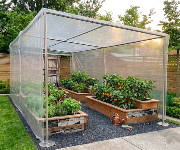 Slant-roof Greenhouse with raised garden beds filled with plants in a backyard setting.